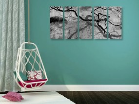 Quadri 5 pezzi – Alberi surrealisti in bianco e nero