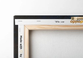 Quadro su tela – Notte nella foresta