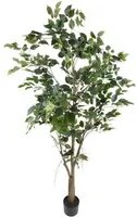 Pianta Artificiale Ficus con Vaso H 183 cm