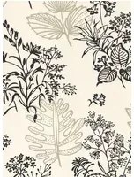 Little Greene Carta da parati Norcombe - Couture