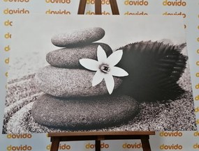 Stampa su tela – Fiore e pietre nella sabbia in bianco e nero