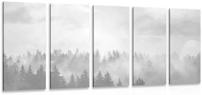 Quadri 5 pezzi – Nebbia sulla foresta in bianco e nero