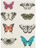 Harlequin Carta da parati  - Flamingo/ Papaya/ Olive