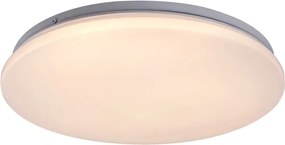 Rabalux 71101 - Plafoniera LED VENDEL LED/12W/230V 3000K 25 cm