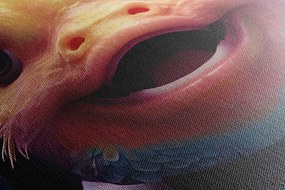 Quadro su tela – Pesce con cuffie