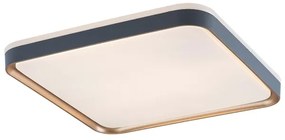 Rabalux 71029 - Plafoniera LED LIATRIS LED/26W/230V 3000K