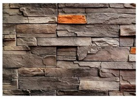 Fotomurale adesivo  Stony Bedrock  Larghezza x Altezza Home decor 294x210