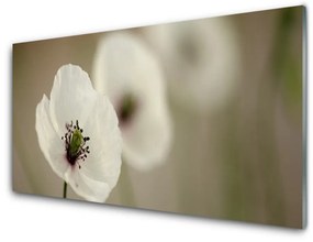 Quadro su vetro Fiore Pianta naturale 100x50 cm