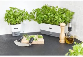 Cole&Mason - Macina sale CAPSTAN BEECH faggio 20 cm