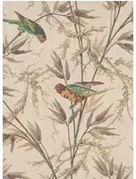 Little Greene Carta da parati Great Ormond Street - Cappuccino