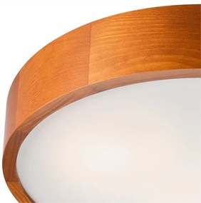 Lampada da soffitto 3xE27/60W/230V