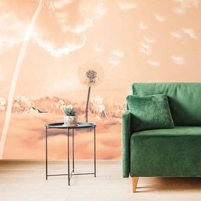 Carta da parati – Soffioni magici sul prato Peach Fuzz