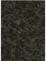 Moooi for Arte Carta da parati Bearded Leopard - MO2052 Blackened Blue