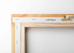 Stampa su tela – Motivi moderni Peach Fuzz