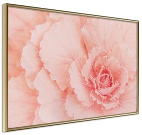 Poster  Delicate Petals  Cornice Quadri Cornice d'oro, Larghezza x Altezza Home decor 30x20