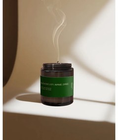 Candela in cera di soia profumata #80 Tomato Leaf, Cypress, Fern – Perfumed Prague