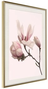 Poster  Blooming Magnolias II  Cornice Quadri Cornice d'oro con passe-partout, Larghezza x Altezza Home decor 20x30