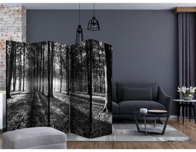 Paravento  Grey Wilderness II [Room Dividers]  Colore ---, Dimensioni e Misure 225x172