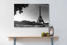 Quadro su tela – Parigi in autunno in bianco e nero