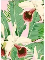 Mindthegap Carta da parati Treasure Island - Pink