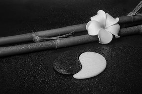Carta da parati – Natura morta in bianco e nero con Yin e Yang