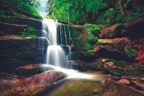 Carta da parati autoadesiva – Cascata nella foresta