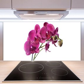 Pannello retrocucina Fiori di orchidea Natura 100x50 cm