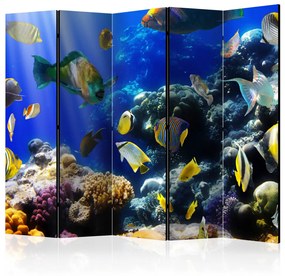 Paravento Avventura subacquea II (5 parti) - pesci, piante, fondo oceano