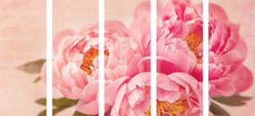 Quadri 5 pezzi – Peonia delicata