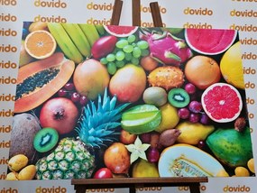 Stampa su tela – Frutta tropicale