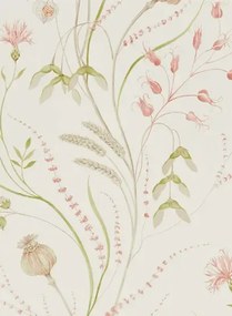 Florale Tapete Summer Harvest von Sanderson - Claret/ Olive