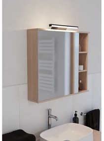 Eglo 901287 - Illuminazione LED RGBW Dimmerabile per bagno REGELLO-Z 12W/230V IP44 nero