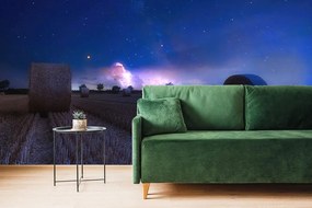 Carta da parati autoadesiva – Fieno al chiaro di luna