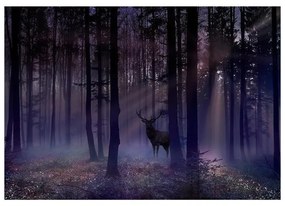 Fotomurale  Mystical Forest  Second Variant  Larghezza x Altezza Home decor 200x140