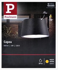 Paulmann 94452 - LED/6W IP44 Applique da esterno CAPEA 230V