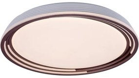 Rabalux - Plafoniera LED dimmerabile/36W/230V