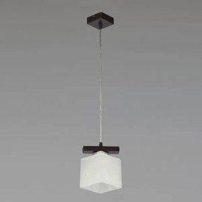 Jupiter 1096 - PO1 - Lampadario a sospensione POLA 1xE27/60W/230V wengé