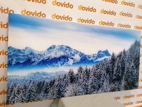 Quadro su tela – Montagne congelate