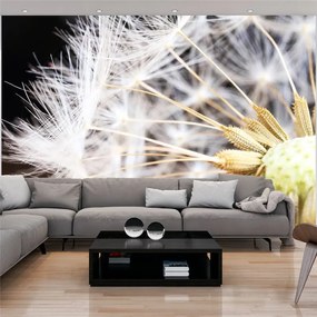 Fotomurale  Fluffy dandelion  Colore Bianco, Dimensioni e Misure 150x105