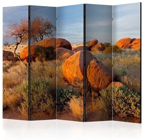 Paravento  African landscape, Namibia II [Room Dividers]  Colore ---, Dimensioni e Misure 225x172