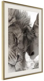 Poster  Predatory Couple  Cornice Quadri Cornice d'oro con passe-partout, Larghezza x Altezza Home decor 40x60