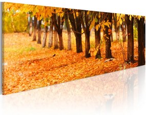 Quadro Golden leaves  Colore Marrone, Dimensioni e Misure 135x45