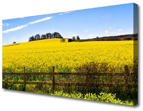 Quadro su tela Paesaggio di piante da campo 100x50 cm