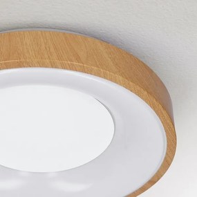Brilagi - Lampada LED da soffitto dimmerabile DORIA LED/48W/230V 3000-6500K + DO