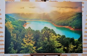 Stampa su tela – Fiume nel mezzo della foresta verde