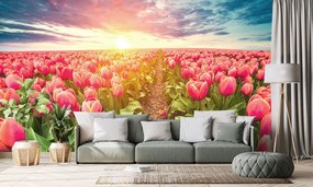 Carta da parati – Alba su prato con tulipani