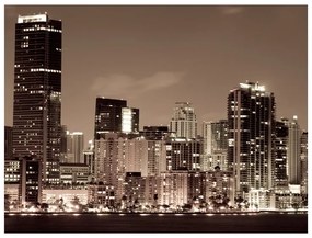 Fotomurale Vita notturna a Miami