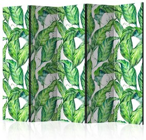 Paravento design Foglie lunghe II (5-parti) - piante tropicali su sfondo bianco