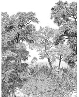 Isidore Leroy Carta da parati panoramica Foret de Bretagne Grisaille - Grisaille – Bahnen 1/2/3