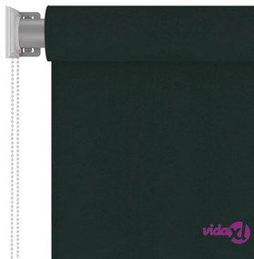vidaXL Tenda a Rullo per Esterni 60x230 cm Verde Scuro HDPE
